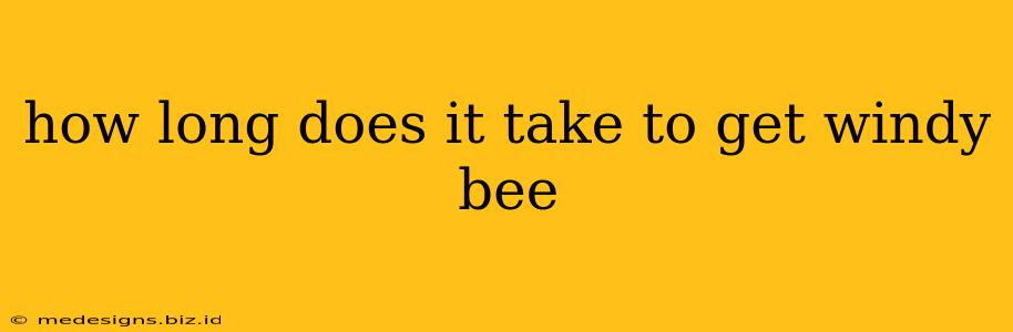 how long does it take to get windy bee