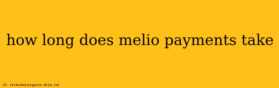 how long does melio payments take