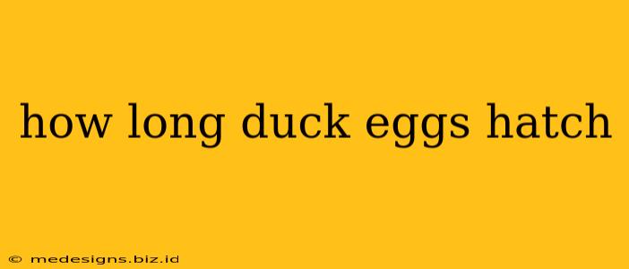 how long duck eggs hatch