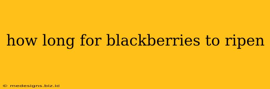 how long for blackberries to ripen
