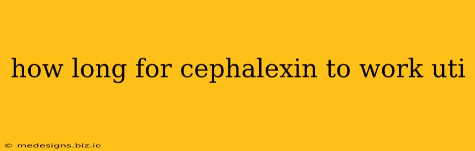 how long for cephalexin to work uti