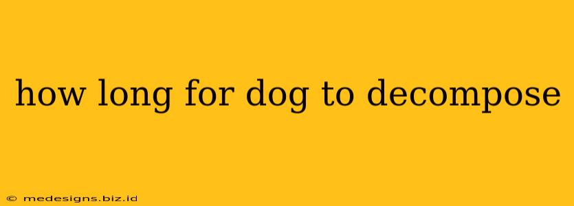 how long for dog to decompose