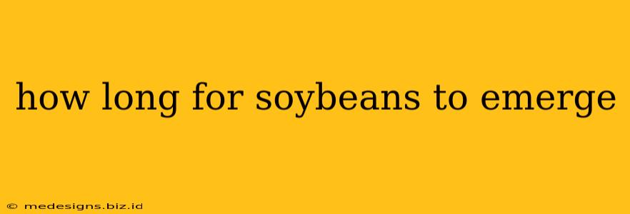 how long for soybeans to emerge