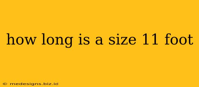 how long is a size 11 foot