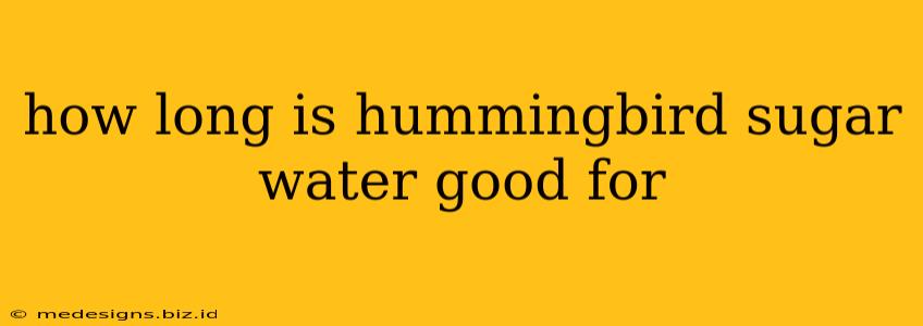 how long is hummingbird sugar water good for