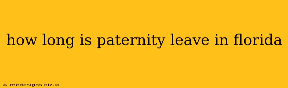 how long is paternity leave in florida