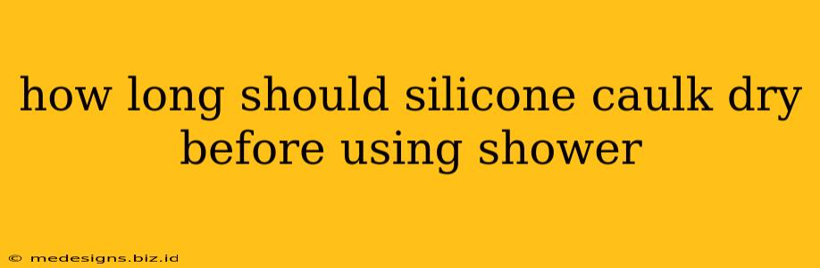how long should silicone caulk dry before using shower