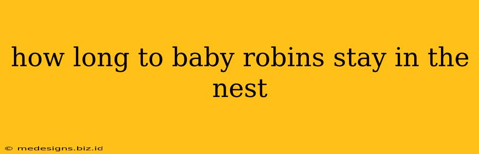 how long to baby robins stay in the nest