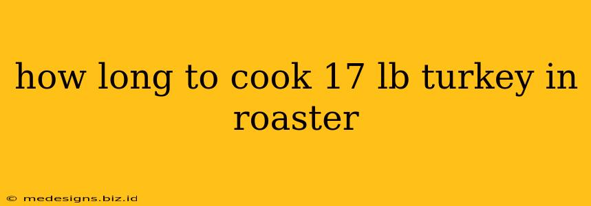 how long to cook 17 lb turkey in roaster