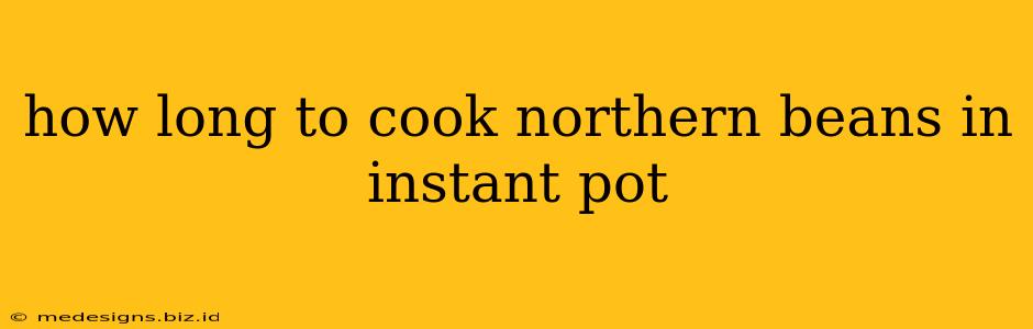 how long to cook northern beans in instant pot