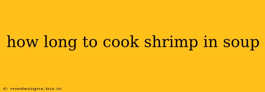 how long to cook shrimp in soup