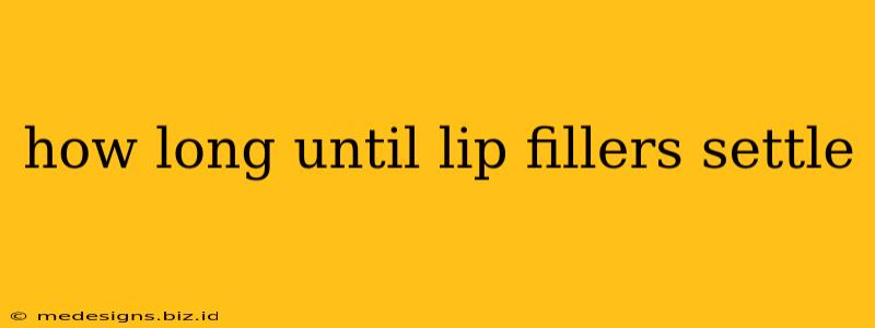 how long until lip fillers settle