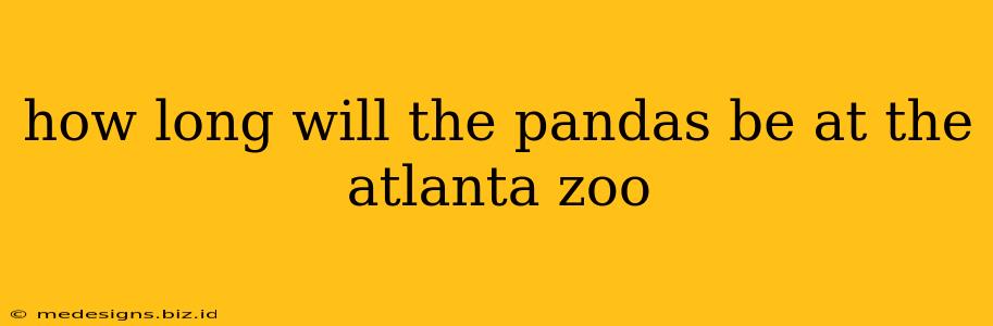 how long will the pandas be at the atlanta zoo