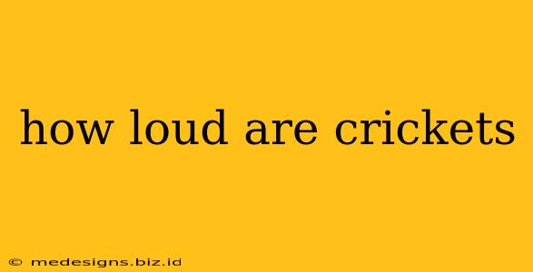 how loud are crickets