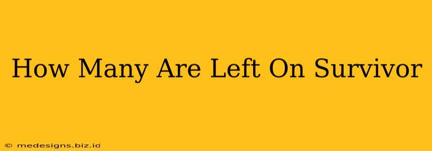 How Many Are Left On Survivor