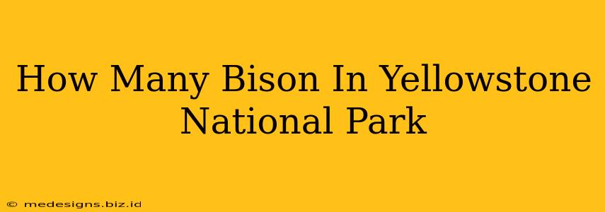 How Many Bison In Yellowstone National Park