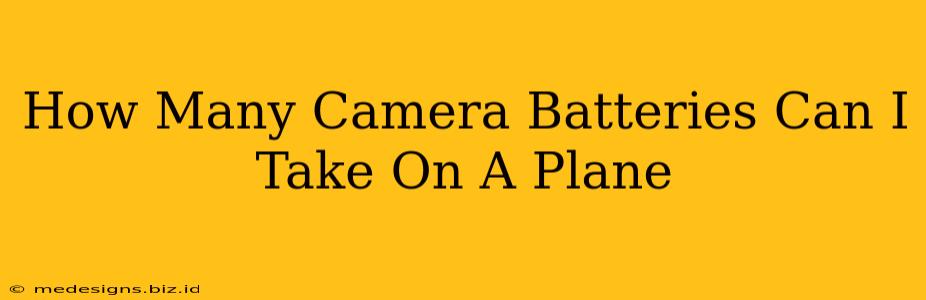 How Many Camera Batteries Can I Take On A Plane