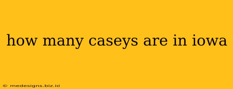 how many caseys are in iowa