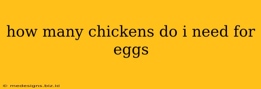 how many chickens do i need for eggs