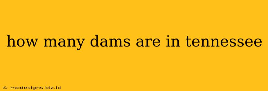 how many dams are in tennessee