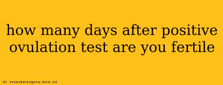 how many days after positive ovulation test are you fertile