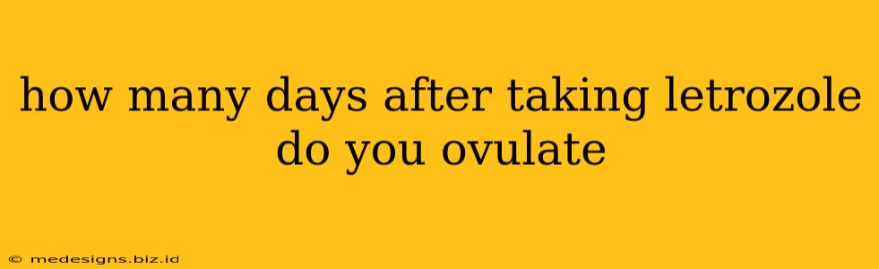 how many days after taking letrozole do you ovulate