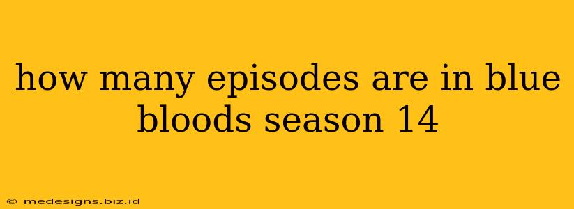 how many episodes are in blue bloods season 14