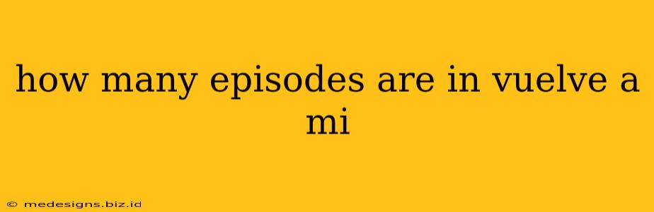 how many episodes are in vuelve a mi