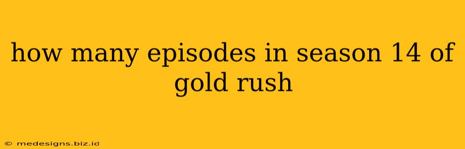 how many episodes in season 14 of gold rush
