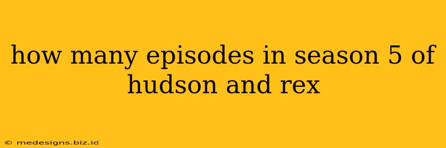 how many episodes in season 5 of hudson and rex