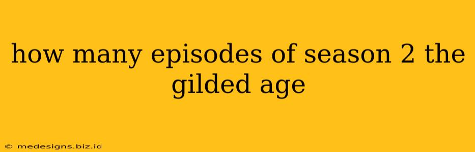 how many episodes of season 2 the gilded age