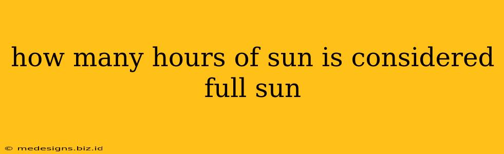 how many hours of sun is considered full sun