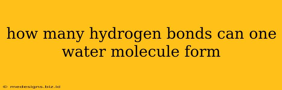 how many hydrogen bonds can one water molecule form