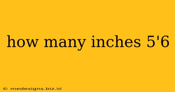 how many inches 5'6