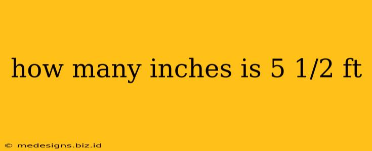 how many inches is 5 1/2 ft