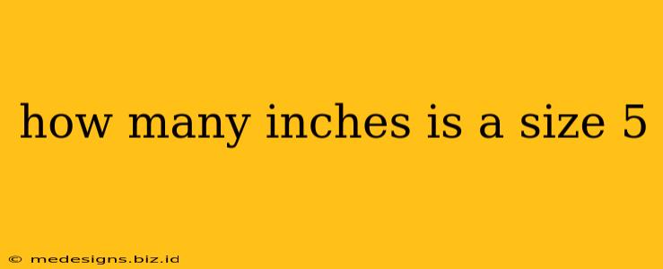 how many inches is a size 5