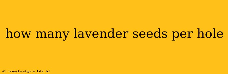 how many lavender seeds per hole