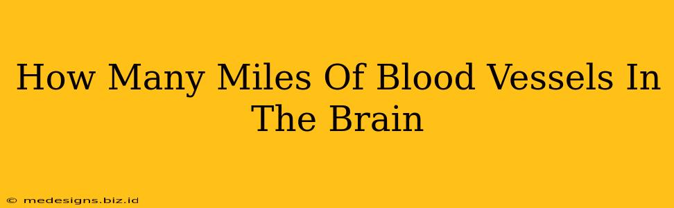 How Many Miles Of Blood Vessels In The Brain