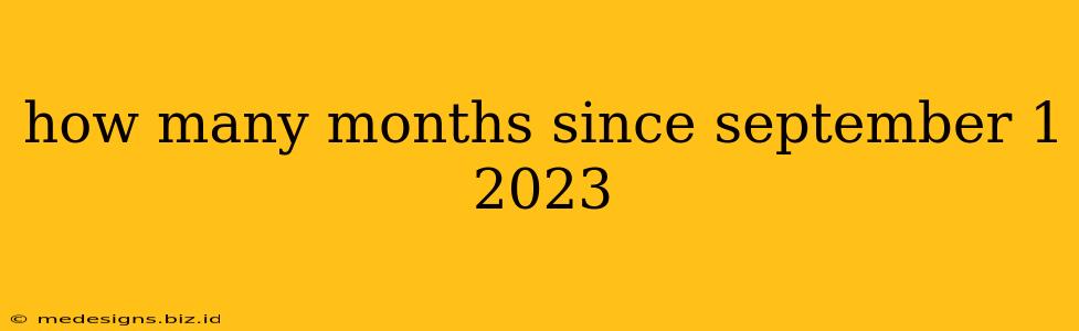how many months since september 1 2023