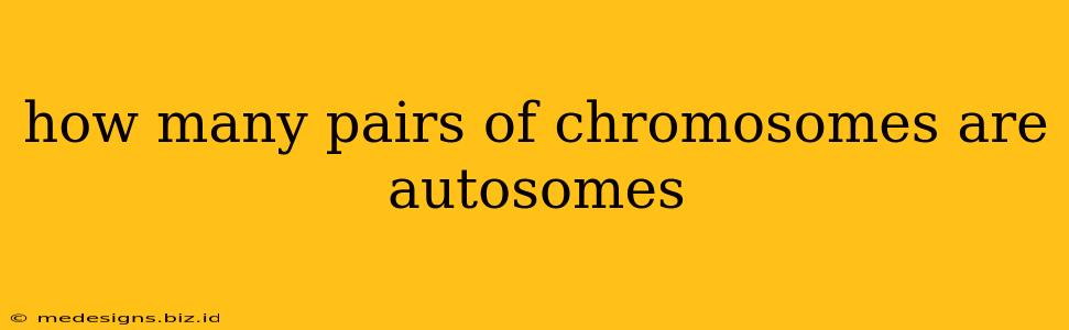how many pairs of chromosomes are autosomes