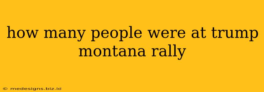 how many people were at trump montana rally
