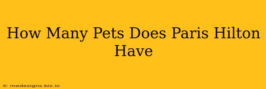 How Many Pets Does Paris Hilton Have