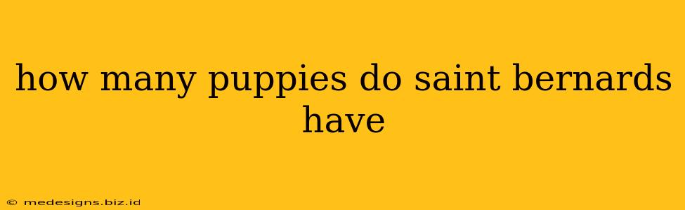 how many puppies do saint bernards have
