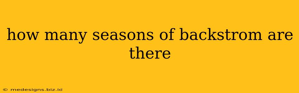 how many seasons of backstrom are there
