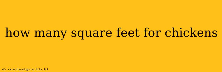 how many square feet for chickens