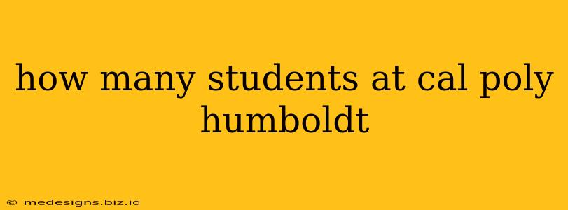 how many students at cal poly humboldt
