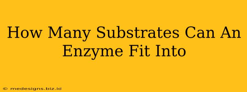 How Many Substrates Can An Enzyme Fit Into