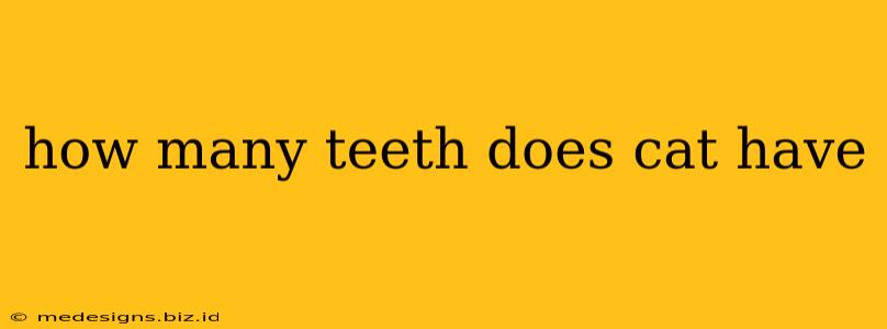 how many teeth does cat have