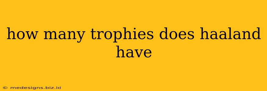 how many trophies does haaland have