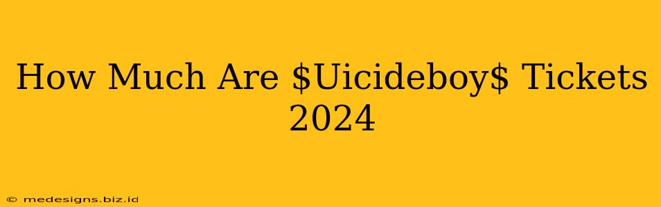How Much Are $Uicideboy$ Tickets 2024